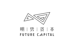 FUTURE CAPITAL